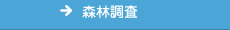 森林調査